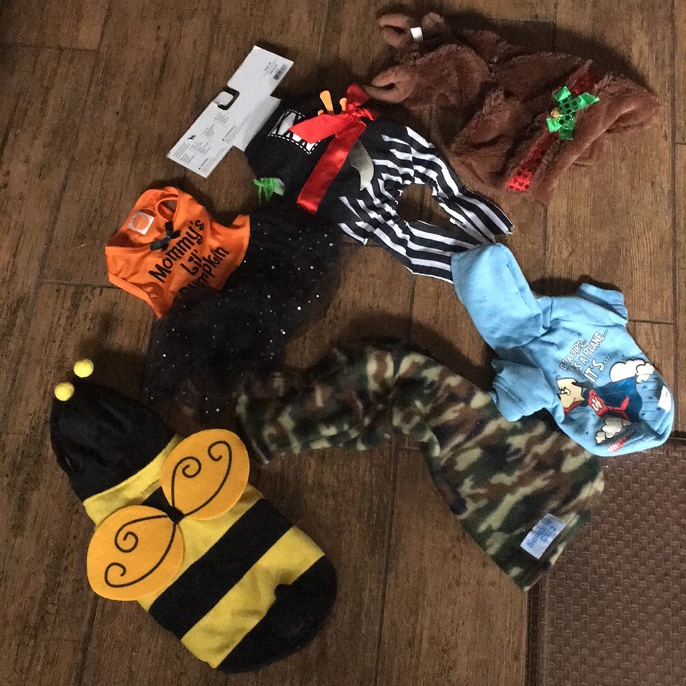 Dog Clothing for Small Breeds